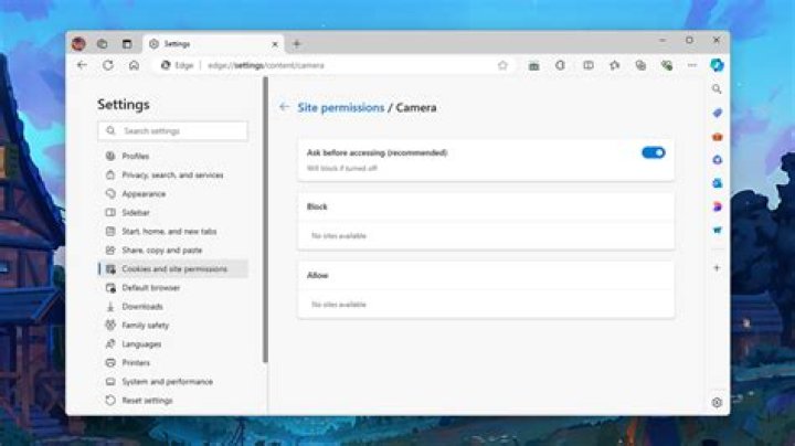 Browser site permissions for media playback and autoplay
